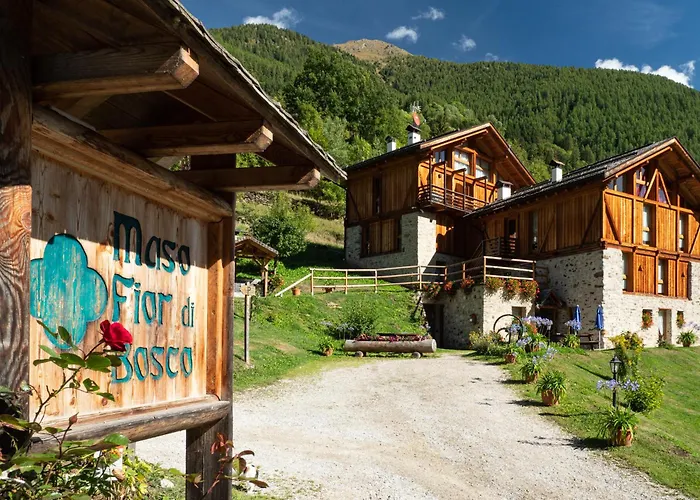 Maso Fior di Bosco - Val di Rabbi - Esercizio Rurale